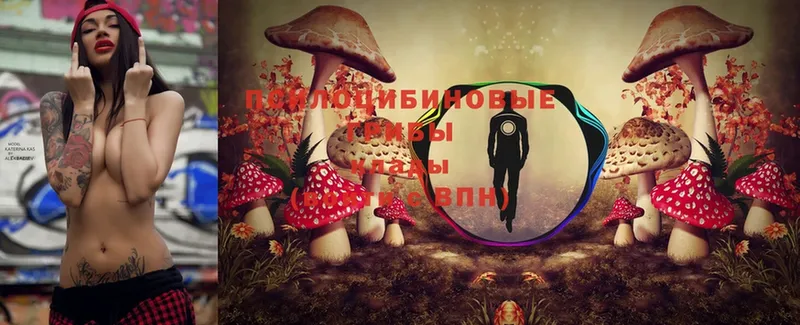 Псилоцибиновые грибы Magic Shrooms Арамиль